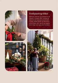 Plantasjen kundeavis Side 3