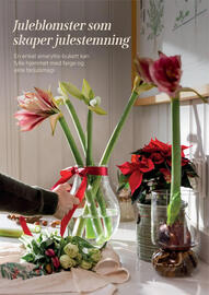 Plantasjen kundeavis Side 4