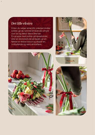 Plantasjen kundeavis Side 5