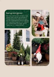 Plantasjen kundeavis Side 9