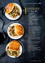 Alvo folder Pagina 29