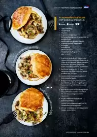 Alvo folder Pagina 29