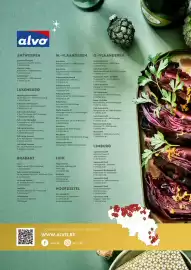 Alvo folder Pagina 76