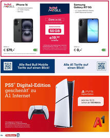 Hartlauer Flugblatt Seite 4