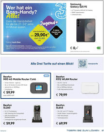 Hartlauer Flugblatt Seite 7