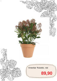 Blomsterlandet reklamblad Sida 10