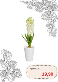 Blomsterlandet reklamblad Sida 2