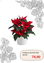 Blomsterlandet reklamblad Sida 3