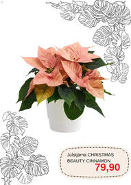 Blomsterlandet reklamblad Sida 4