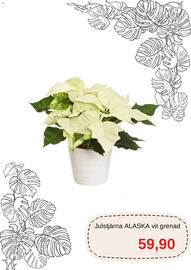 Blomsterlandet reklamblad Sida 5