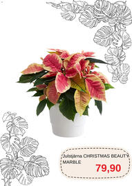 Blomsterlandet reklamblad Sida 6