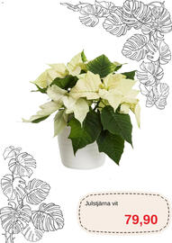 Blomsterlandet reklamblad Sida 7