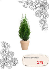 Blomsterlandet reklamblad Sida 8