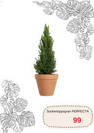 Blomsterlandet reklamblad Sida 9