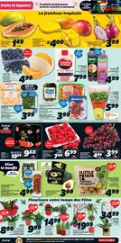 IGA flyer Page 3