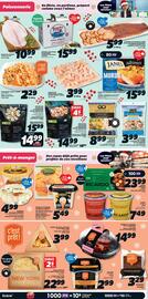 IGA flyer Page 6