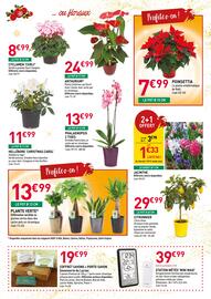 Catalogue RAGT Jardin & Maison page 7