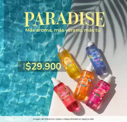 Catálogo Lili Pink (válido hasta 30-12)