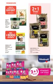 Catalogue Tom&Co page 2