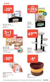 Catalogue Tom&Co page 6