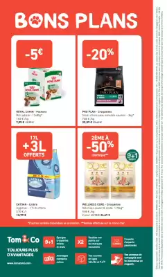 Catalogue Tom&Co (valable jusqu'au 14-12)