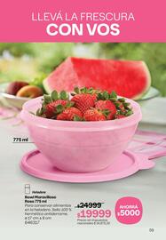 Folleto Tupperware Página 60