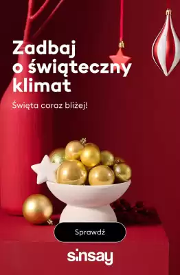 Sinsay gazetka (ważność do 8-12)