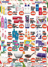 Catálogo Supermercados Mariano Max Página 6