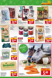 Herkules Baumarkt Prospekt woche 49 Seite 11