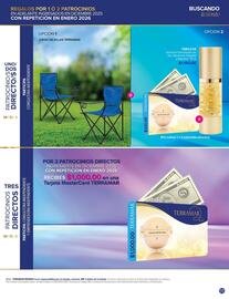 Catálogo Terramar Brands Página 55