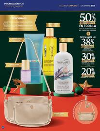 Catálogo Terramar Brands Página 60