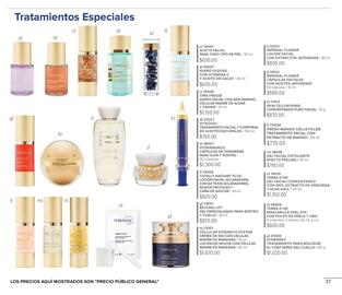 Catálogo Terramar Brands Página 37