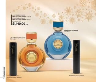 Catálogo Terramar Brands Página 6