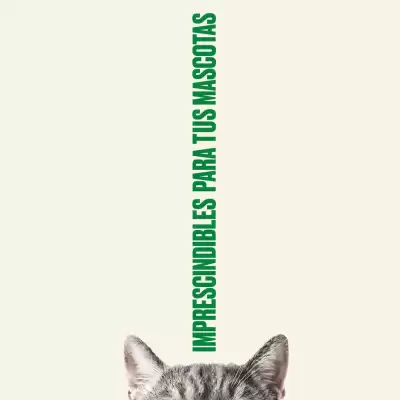 Catálogo Hipercor (válido hasta 10-12)