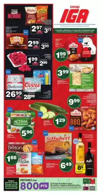 IGA flyer