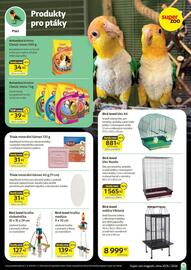 Super Zoo leták Strana 13