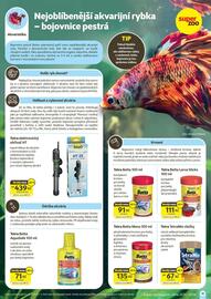 Super Zoo leták Strana 19