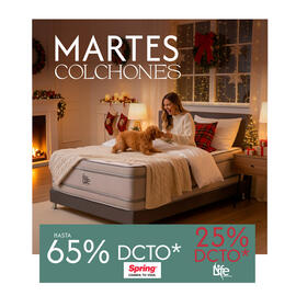 Catálogo FUN Fábricas Unidas semana 49 Página 3