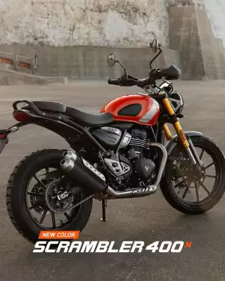 Catálogo Triumph (válido até 31-12)