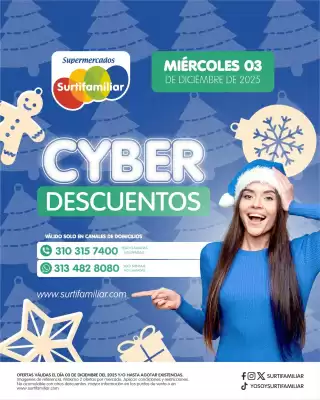 Catálogo Surtifamiliar (válido hasta 3-12)