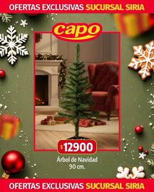 Catálogo Autoservicio Capo Página 4