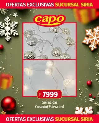 Catálogo Autoservicio Capo (válido hasta 31-12)