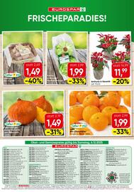 Eurospar Flugblatt Seite 16