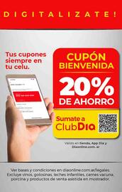 Folleto Supermercados DIA semana 49 Página 21