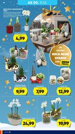 Hofer Flugblatt woche 49 Seite 52