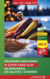 ALDI gazetka Strona 17