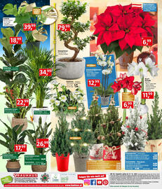 Bauhaus Flugblatt Seite 24