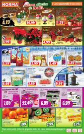 Catalogue Norma semaine 50 page 4
