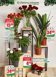 Dino gazetka tydzień 49 Strona 59