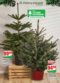 Dino gazetka tydzień 49 Strona 61